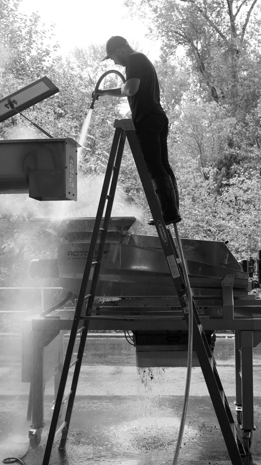 Winemaking at Novelty Hill-Januik Winery