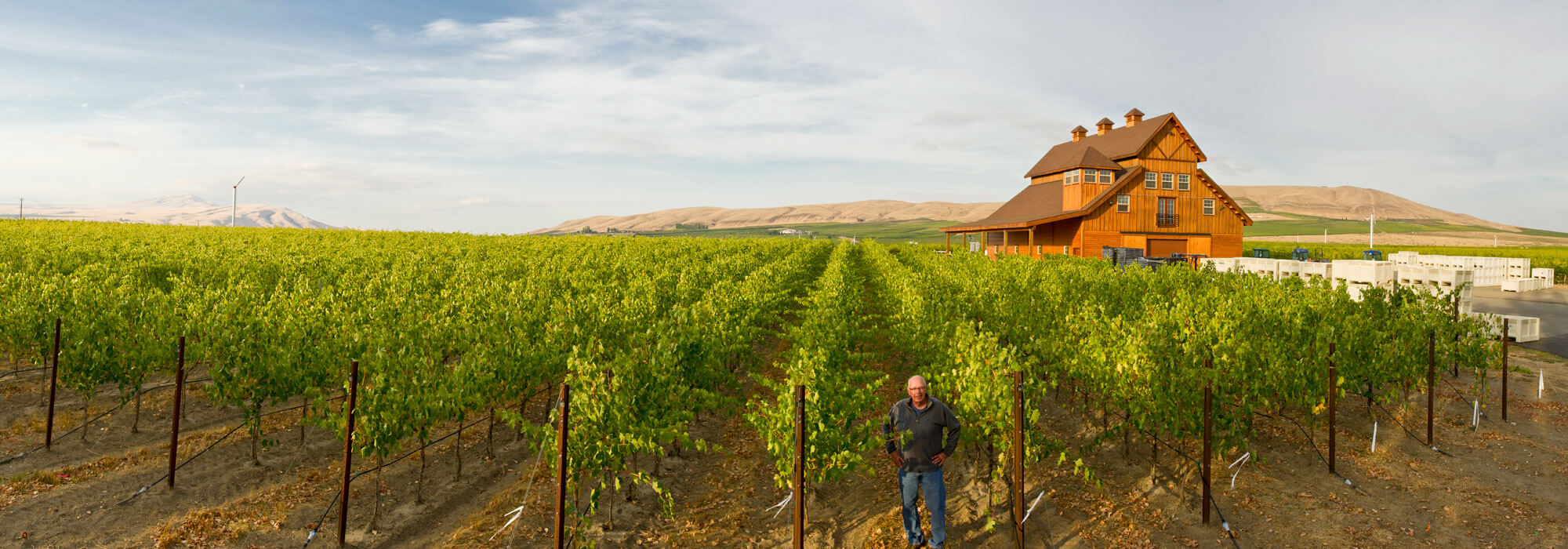 Stillwater Creek Estate Vineyard