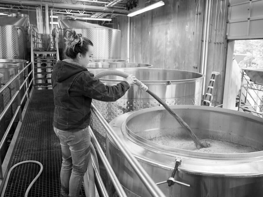 Winemaking at Novelty Hill-Januik Winery